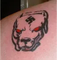 Pit Bull